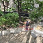 서울 환일고등학교 운동장 전경