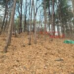 경기 남양주시 금배유아숲체험원 전경