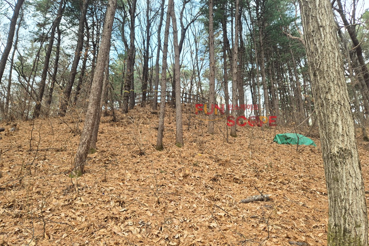 경기 남양주시 금배유아숲체험원 전경